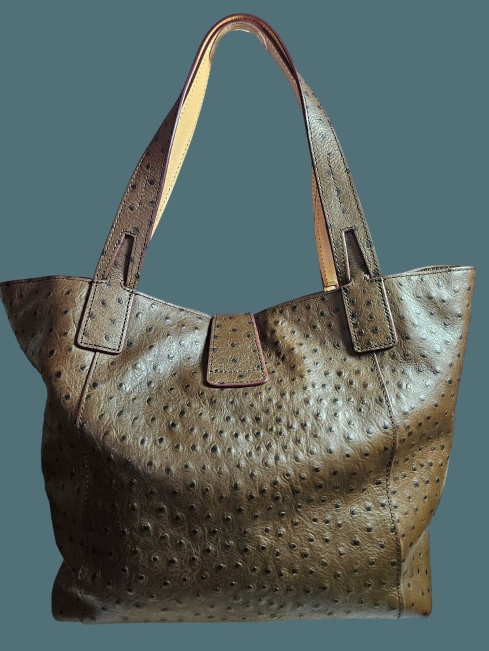 Dooney & Bourke Leather Ostrich East West Shopper Tote Bag - Picture 4 of 15